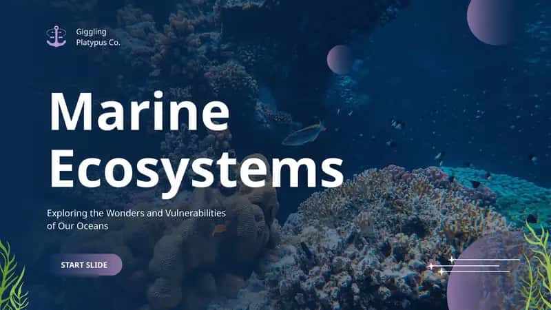 Marine Ecosystems