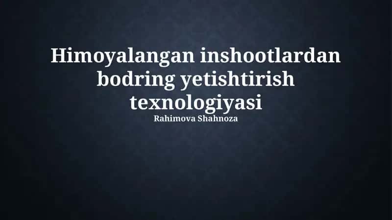 Himoyalangan inshootlardan bodring yetishtirish texnologiyasi