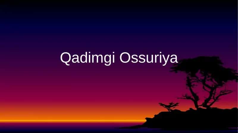 Qadimgi Ossuriya