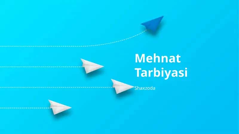 Mehnat Tarbiyasi