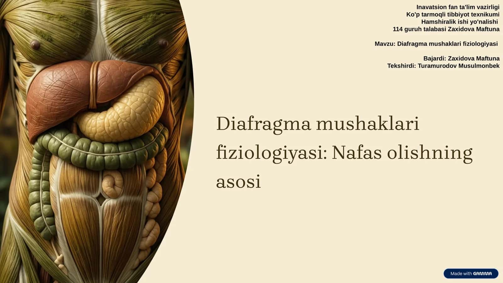 Diafragma mushaklari fiziologiyasi