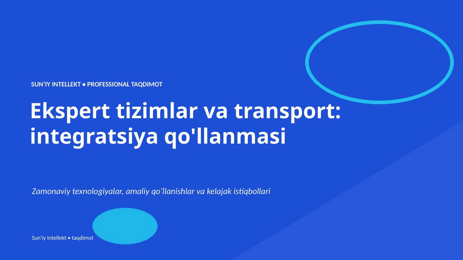 Ekspert tizimlar va transport: integratsiya qo'llanmasi