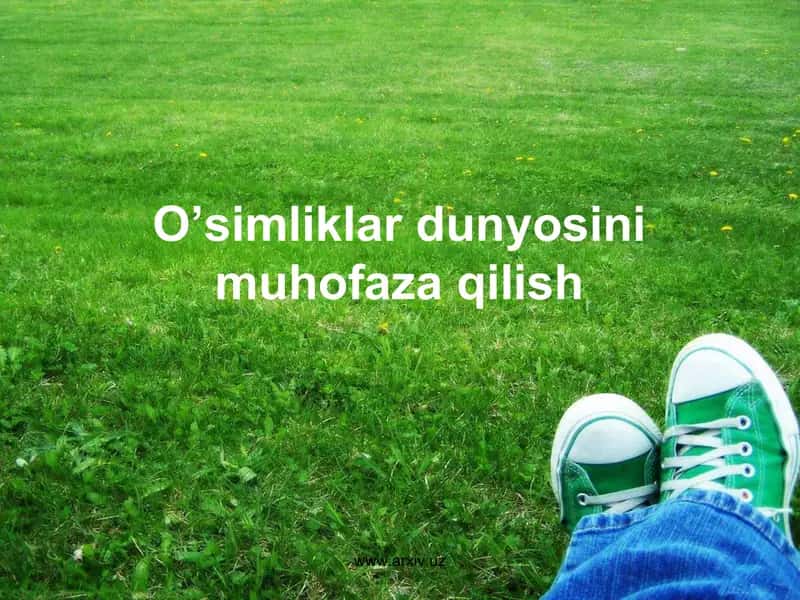 O'simliklar dunyosini muhofaza qilish