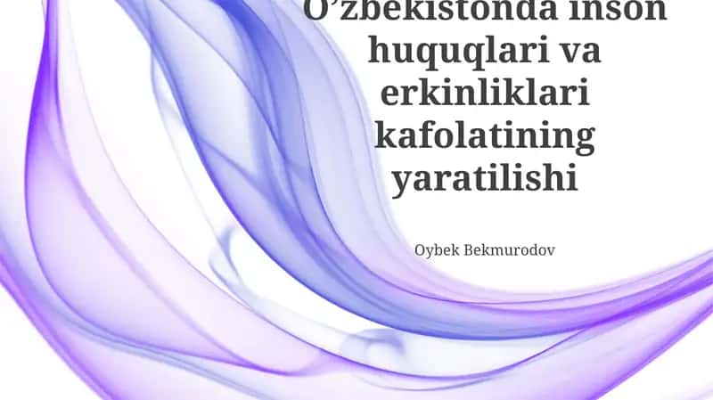Oʼzbekistonda inson huquqlari va erkinliklari kafolatining yaratilishi