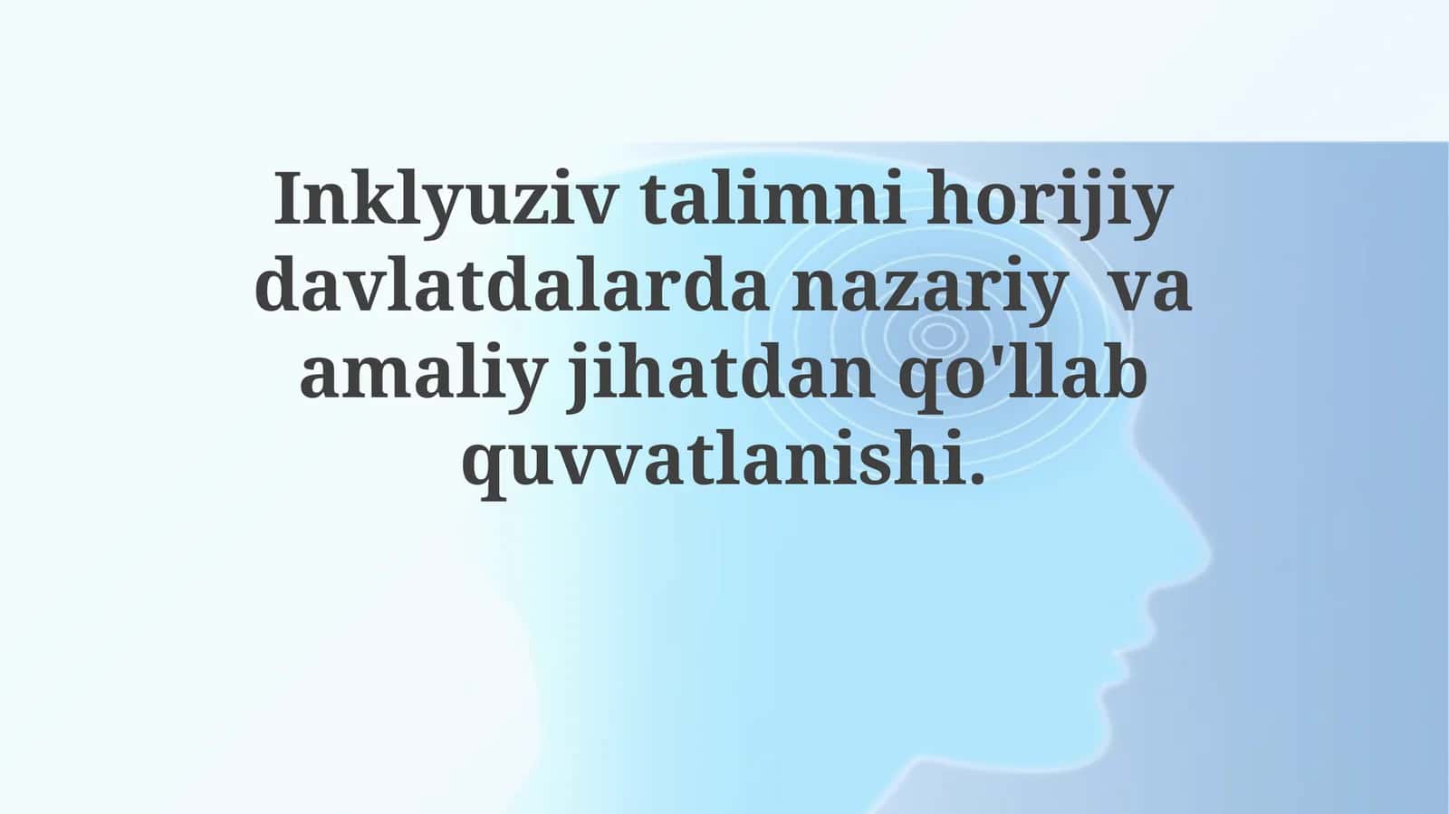 Inklyuziv ta'limni horijiy davlatlardan nazariy va amaliy jihatdan qo'llab-quvvatlanishi