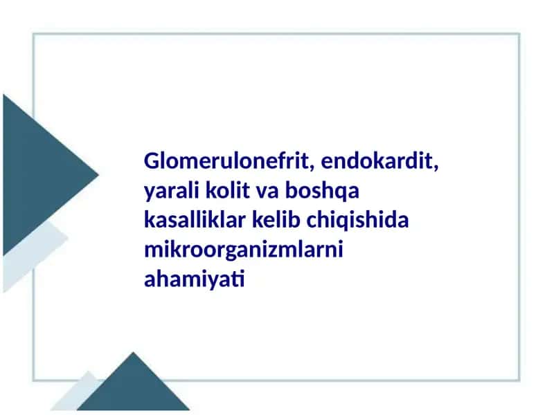 Glomerulonefrit, endokardit, yarali kolit va boshqa kasalliklar kelib chiqishida mikroorganizmlarni ahamiyati