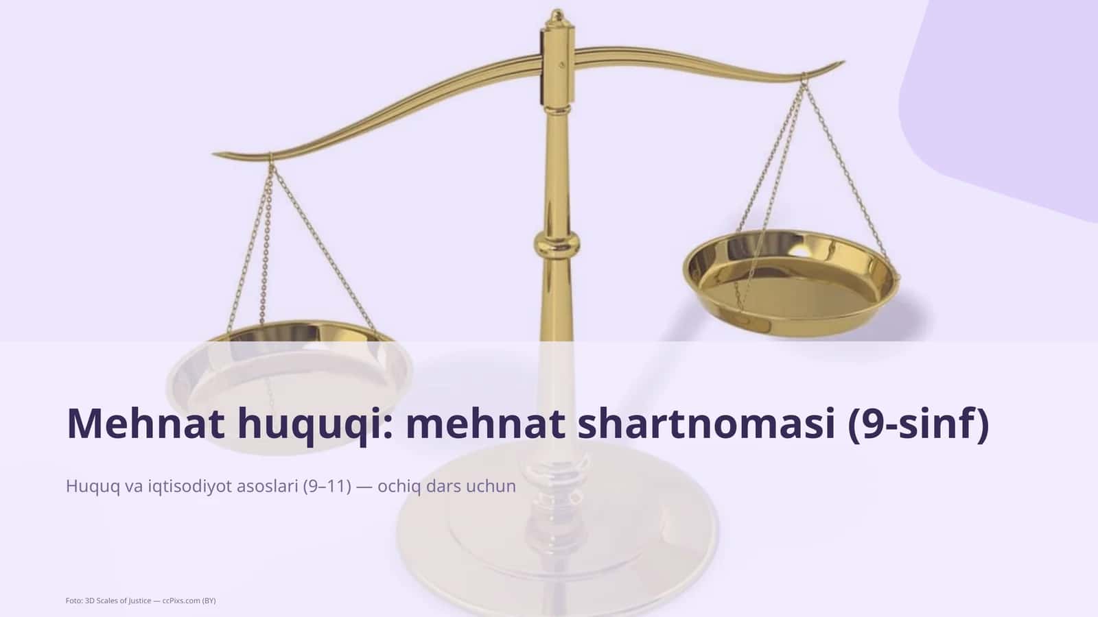 Mehnat huquqi: mehnat shartnomasi (9-sinf)