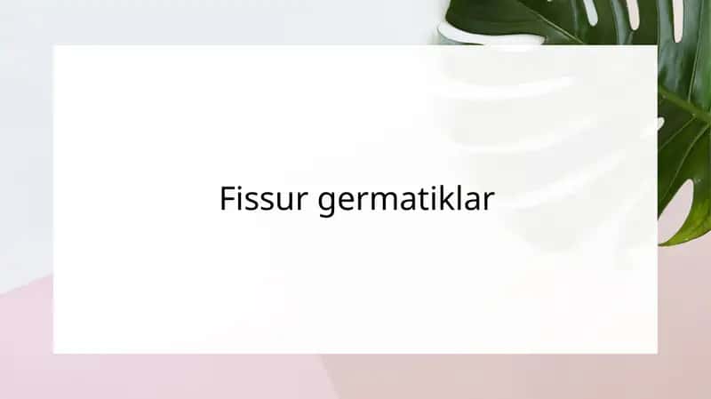 Fissur germatiklar