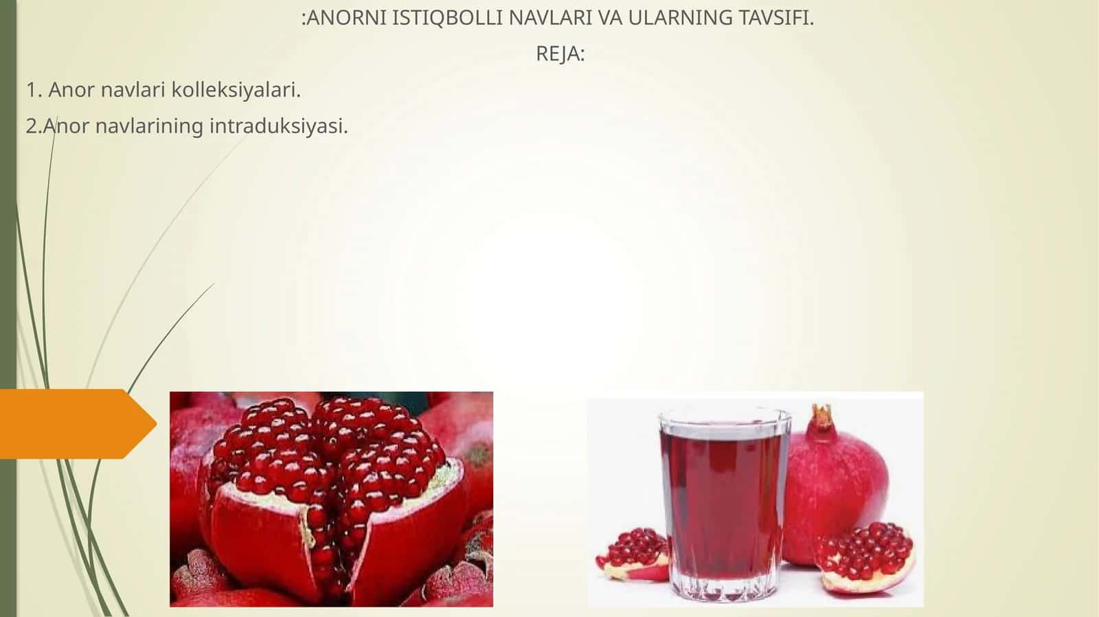 Anor navlari