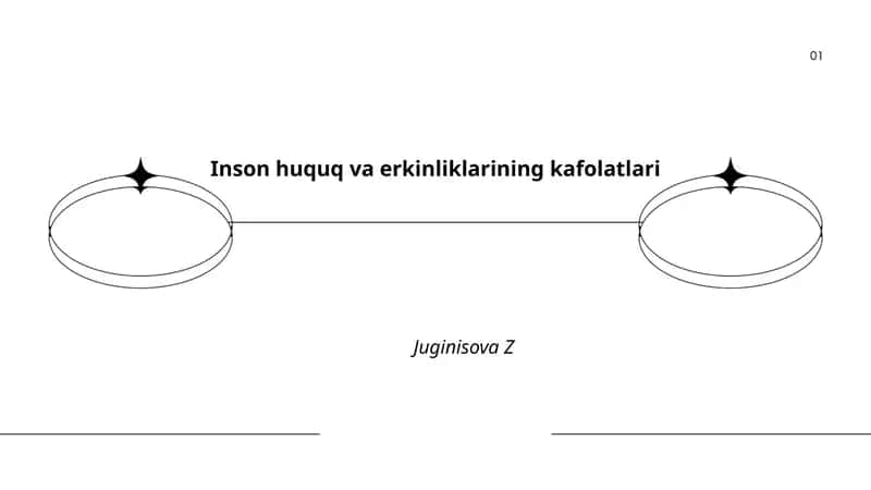 Inson huquq va erkinliklarining kafolatlari