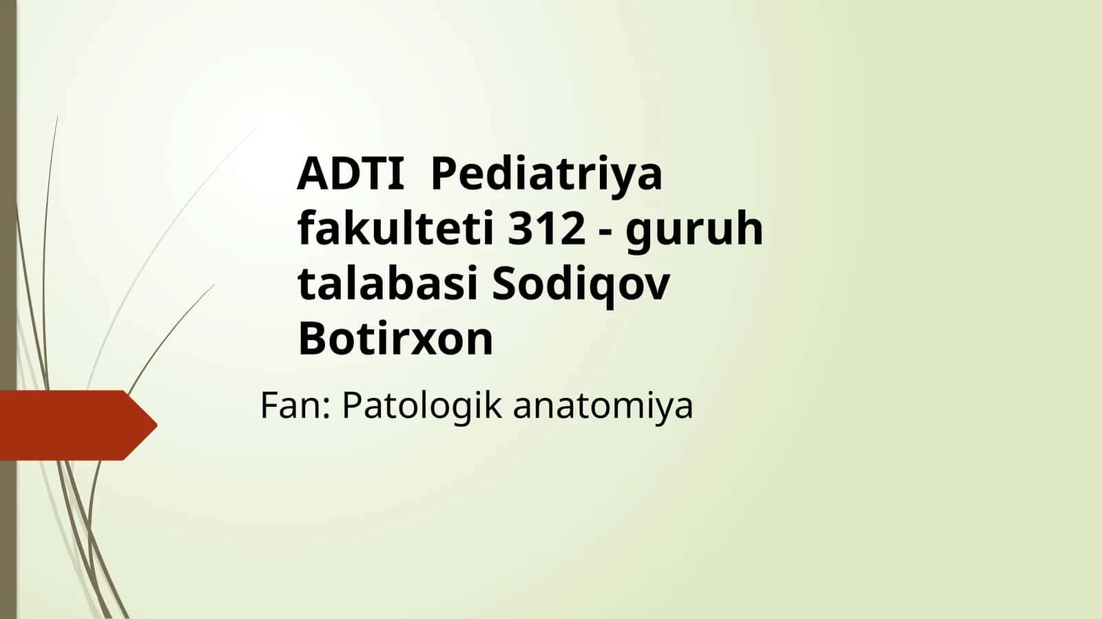 PerikardAnatomiyasivaFiziologiyasi