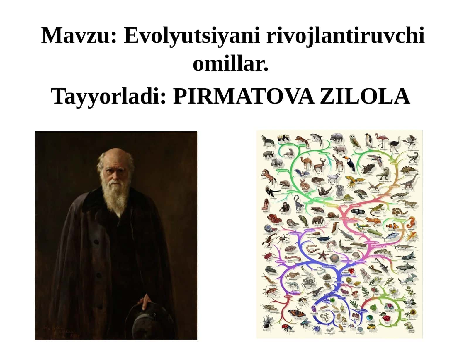 Evolyutsiyani rivojlantiruvchi omillar