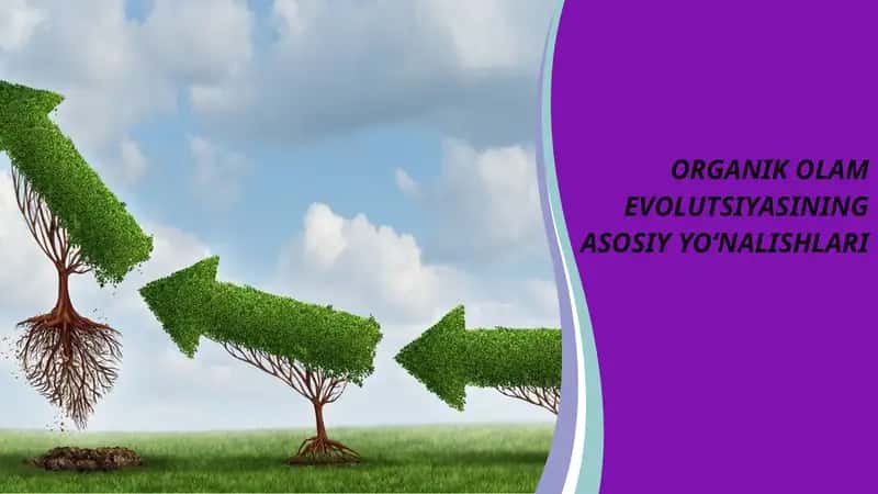 ORGANIK OLAM EVOLUTSIYASINING ASOSIY YO‘NALISHLARI