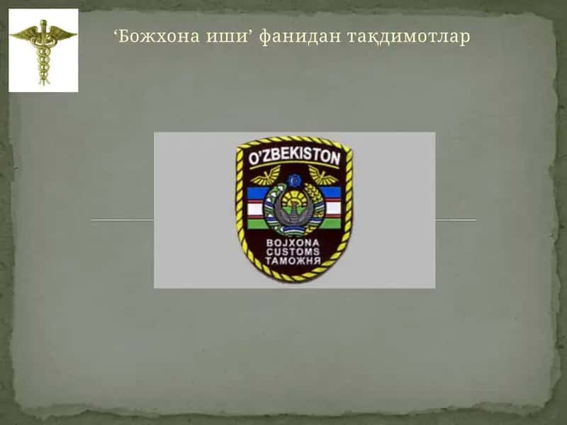 Божхона иши
