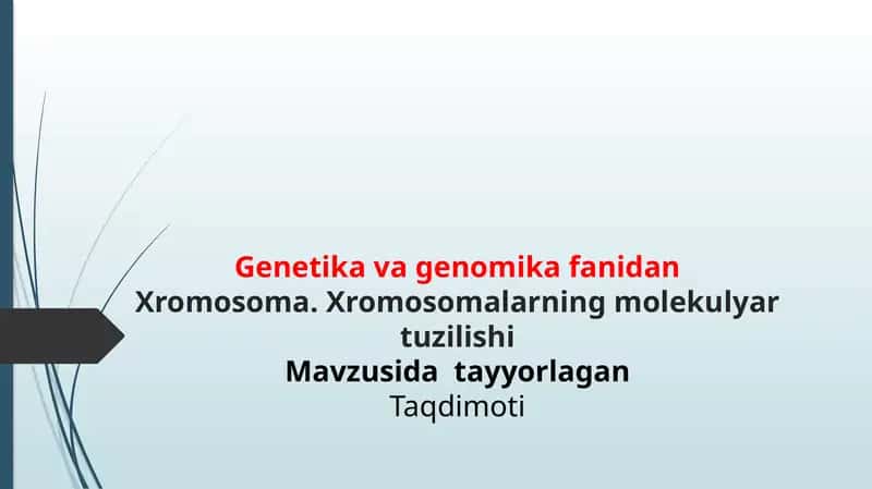 Xromosoma. Xromosomalarning molekulyar tuzilishi