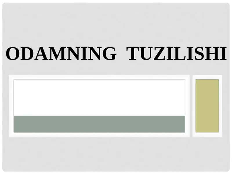 ODAMNING TUZILISHI