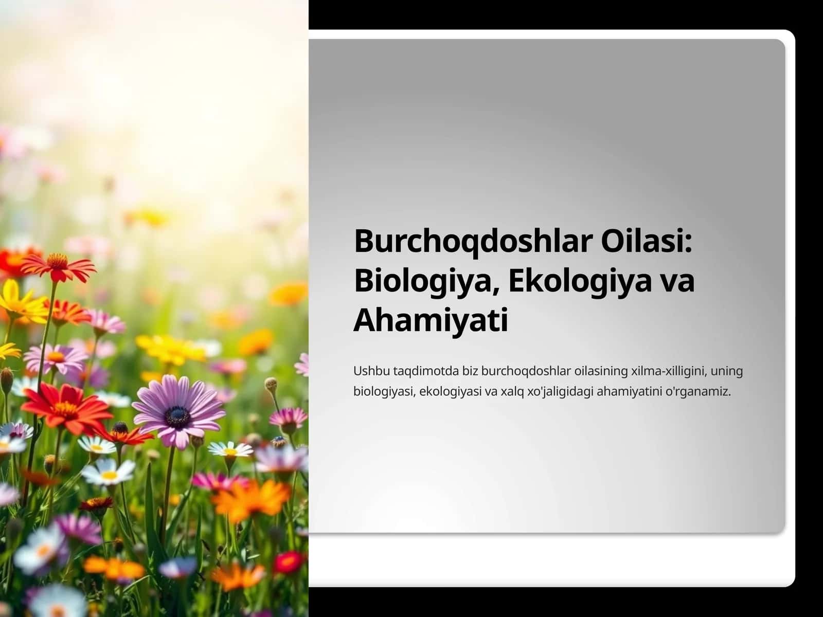 Burchoqdoshlar Oilasi: Biologiya, Ekologiya va Ahamiyati