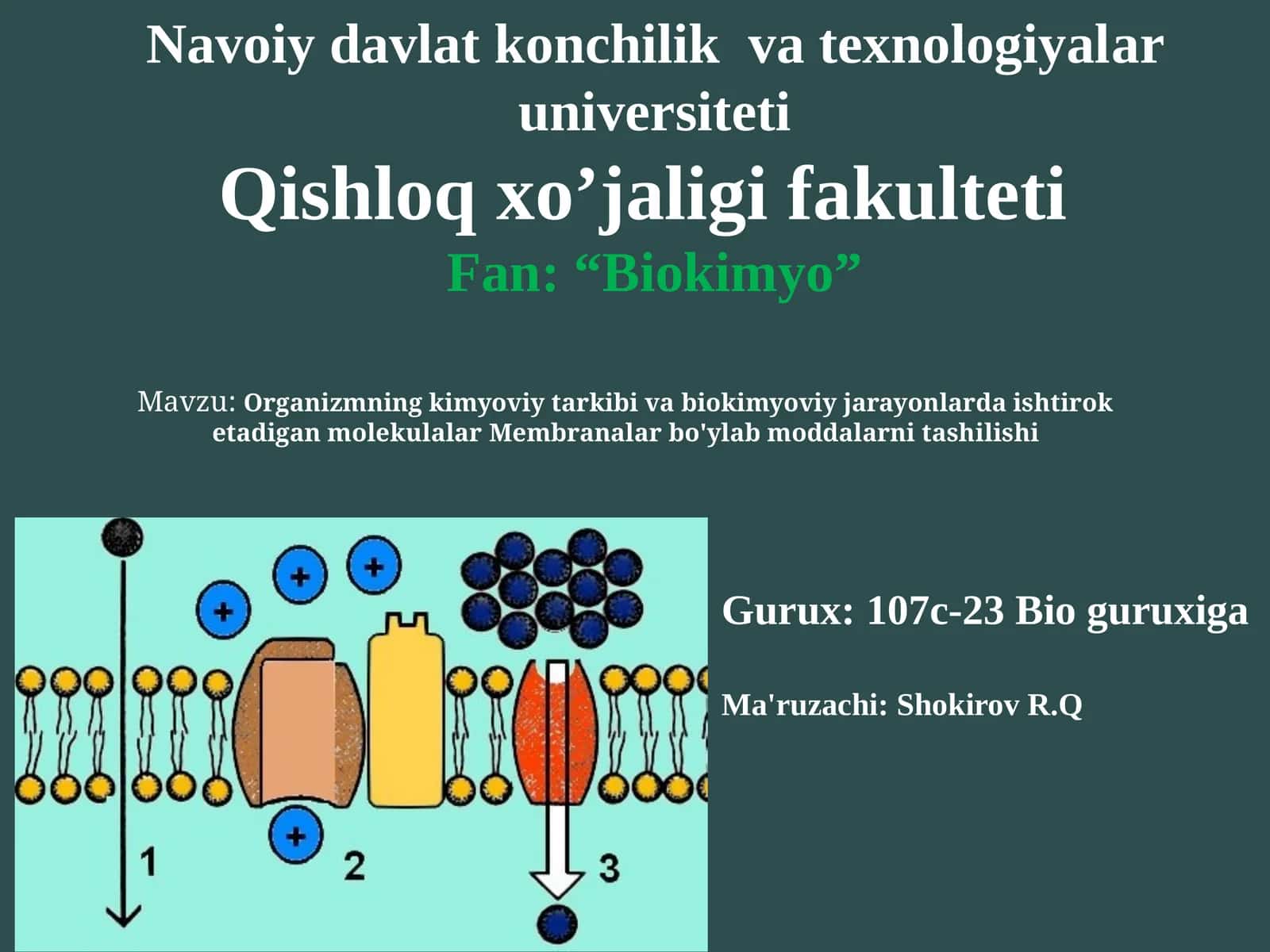 Organizmning kimyoviy tarkibi va biokimyoviy jarayonlarda ishtirok etadigan molekulalar. Membranalar bo'ylab moddalarni tashilishi