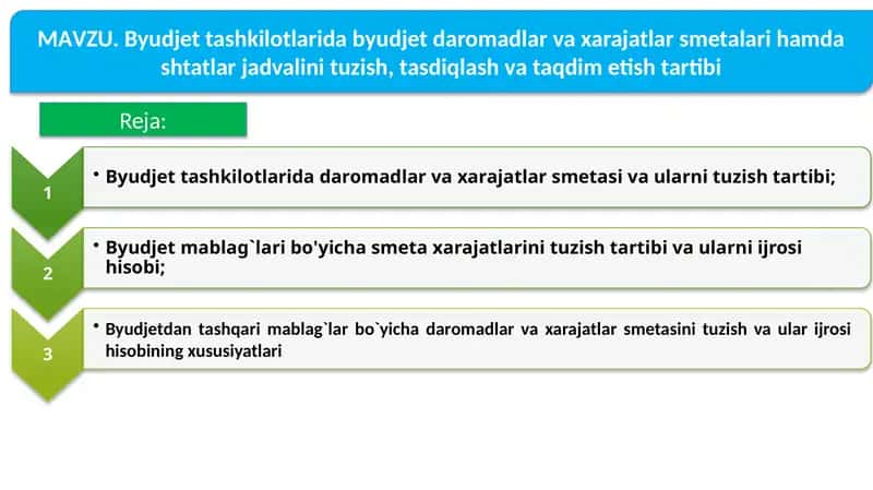 Byudjet tashkilotlari daromadlar va xarajatlar smetasi