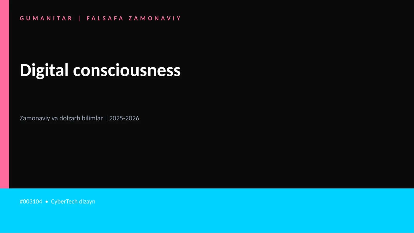 Digital consciousness
