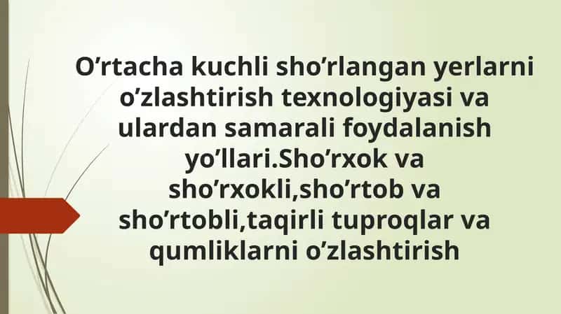 Sho'rlangan Yerlarni O'zlashtirish Texnologiyasi