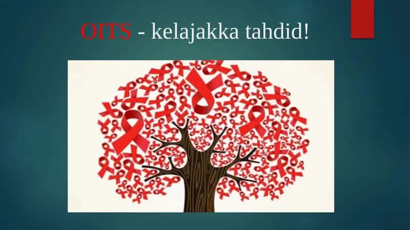 OITS - kelajakka tahdid!