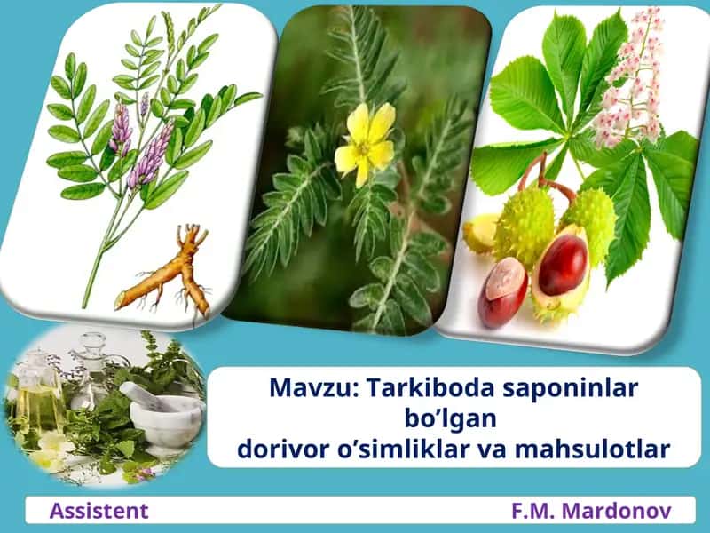 Tarkiboda saponinlar bo’lgandorivor o’simliklar va mahsulotlar