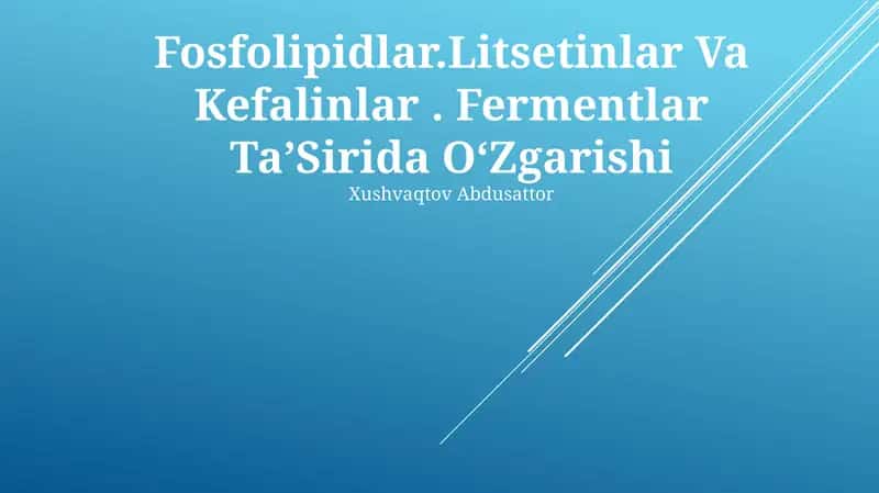 Fosfolipidlar.Litsetinlar Va Kefalinlar. Fermentlar TaʼSirida OʻZgarishi
