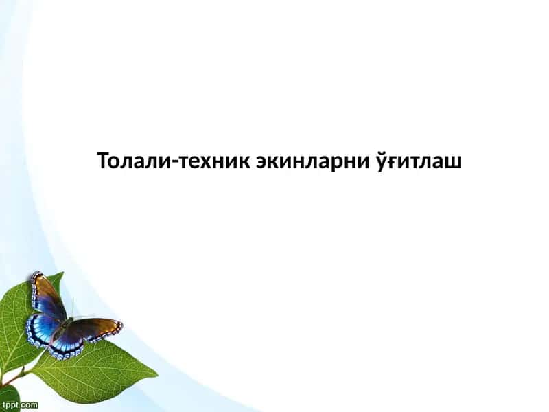 Толали-техник экинларни ўғитлаш