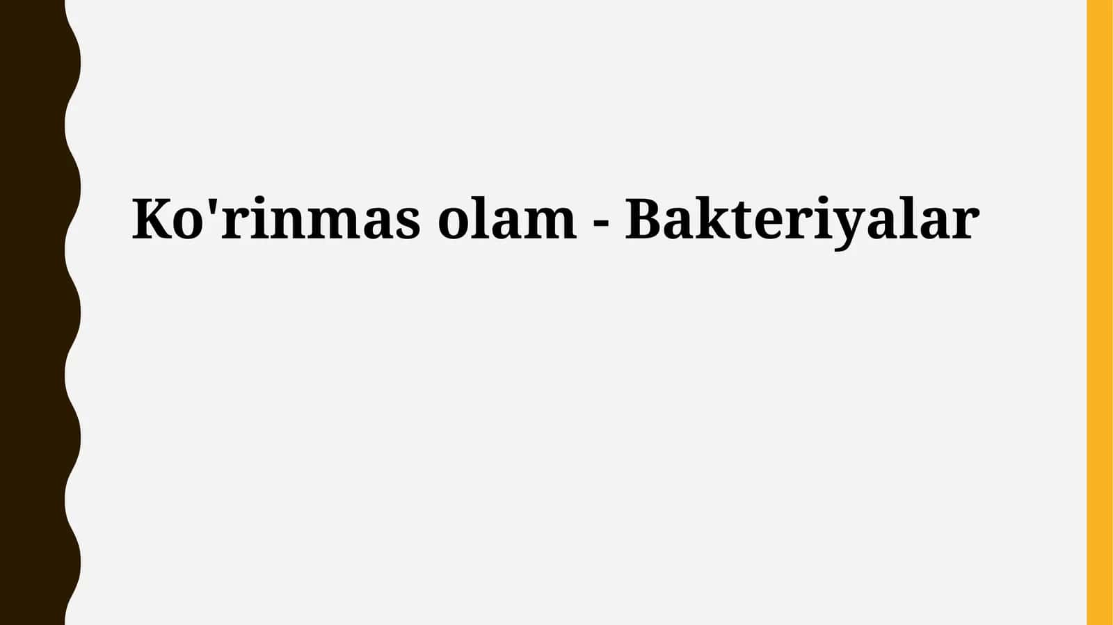 Ko'rinmas olam - Bakteriyalar
