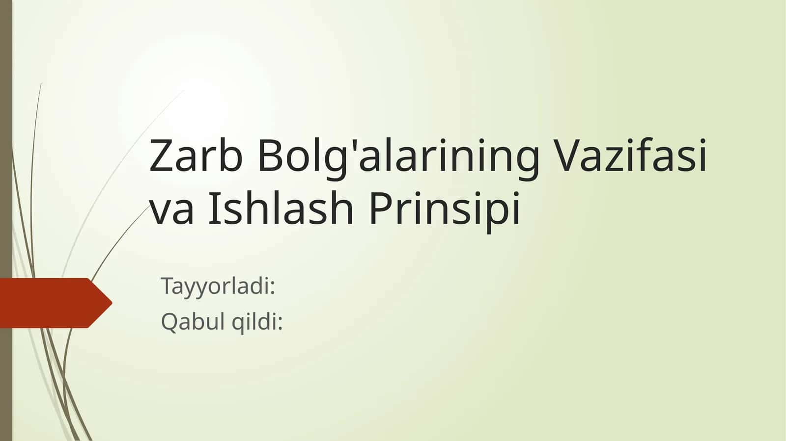 Zarb Bolg'alarining Vazifasi va Ishlash Prinsipi