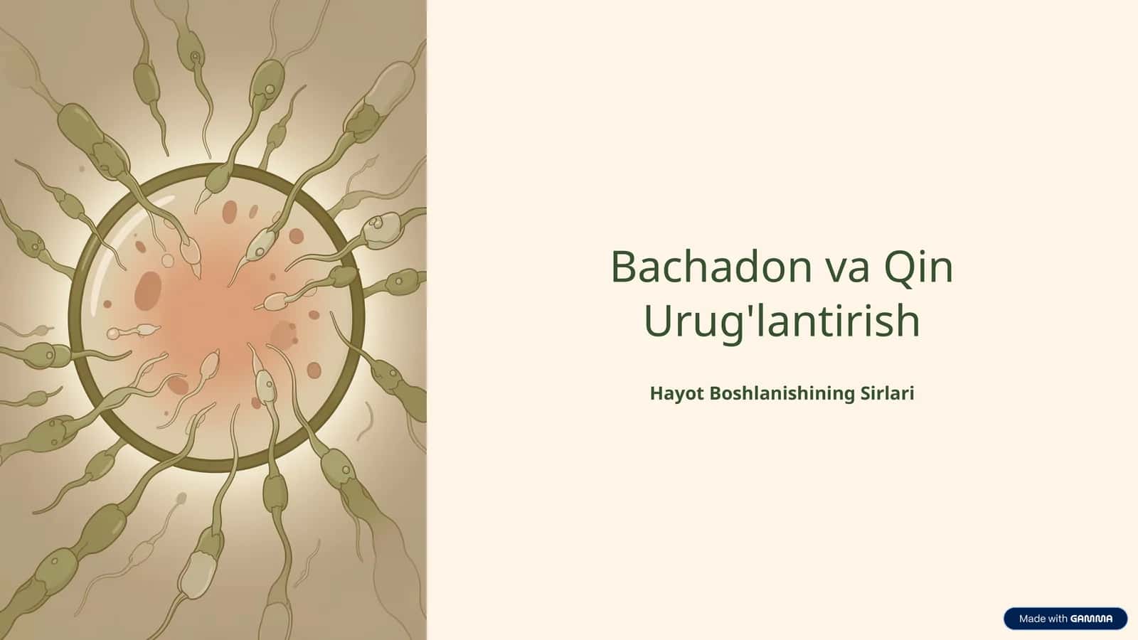 Bachadon va Qin Urug'lantirish