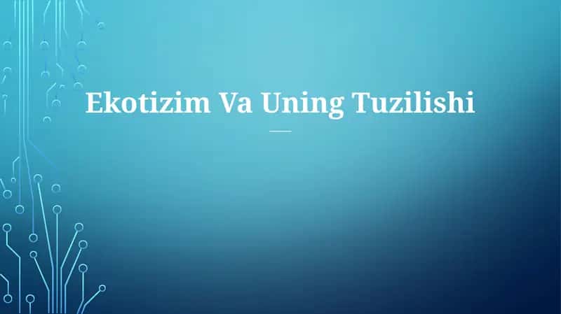 Ekotizim Va Uning Tuzilishi