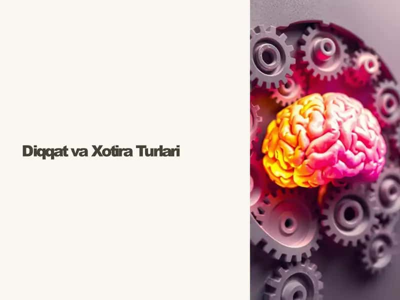 Diqqat va Xotira Turlari