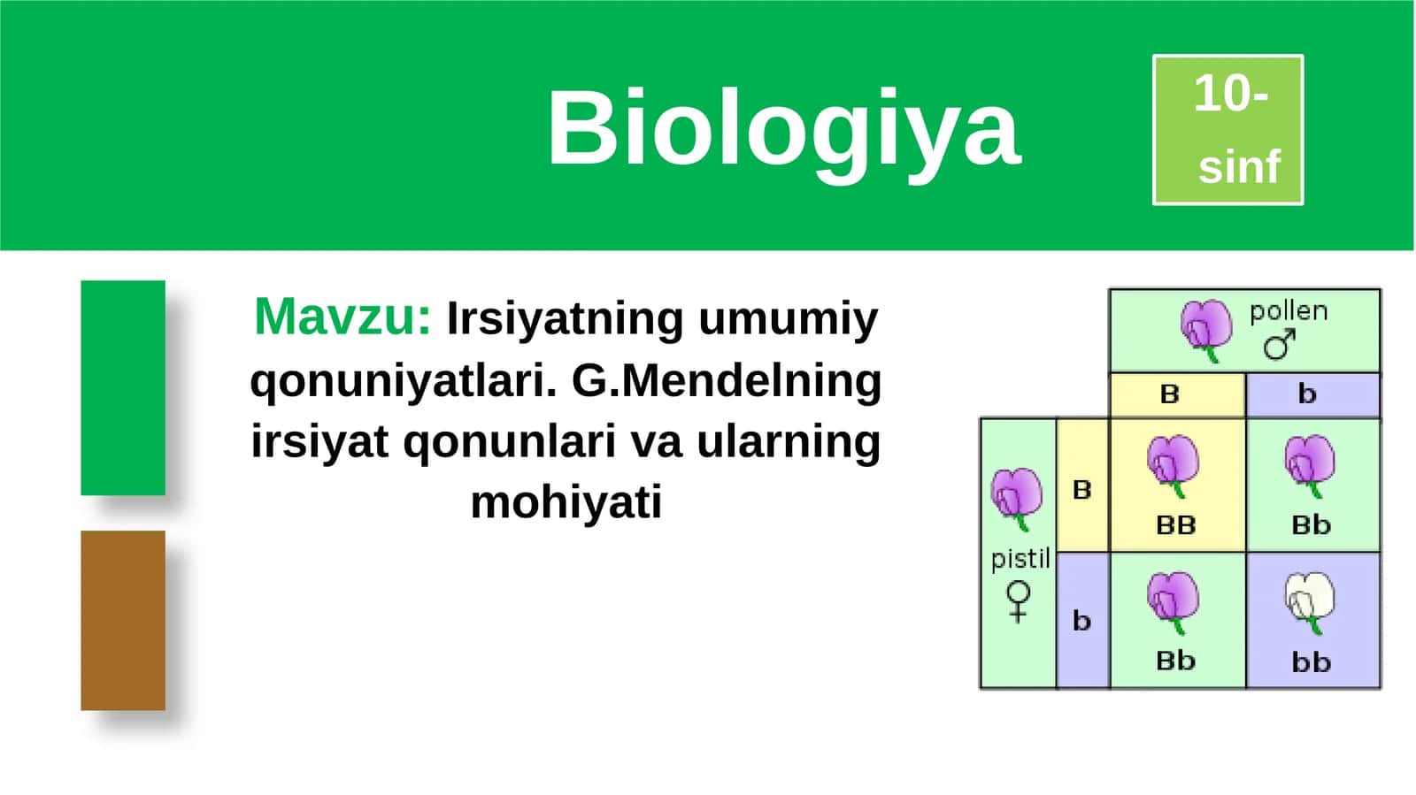 Irsiyatning umumiy qonuniyatlari. G. Mendelning irsiyat qonunlari va ularning mohiyati