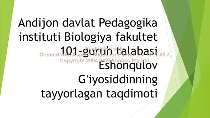 Eshonqulov Gʻiyosiddinning talabasi taqdimoti