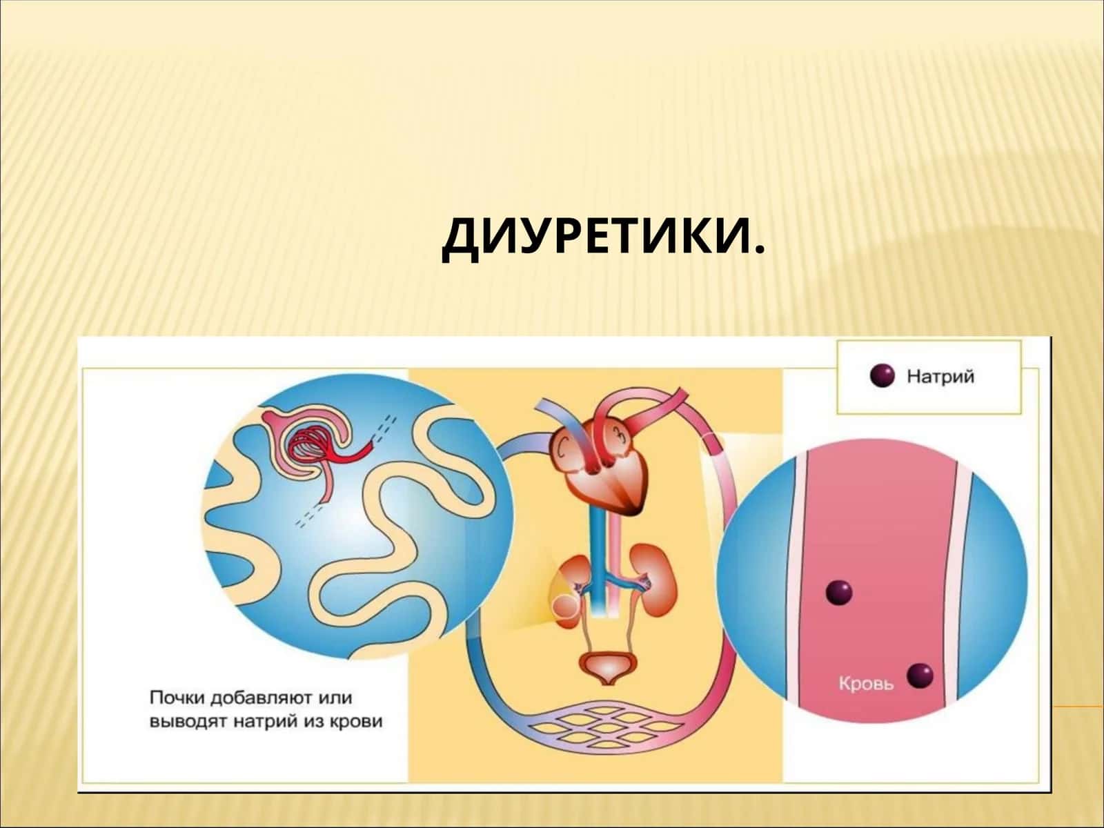 ДИУРЕТИКИ