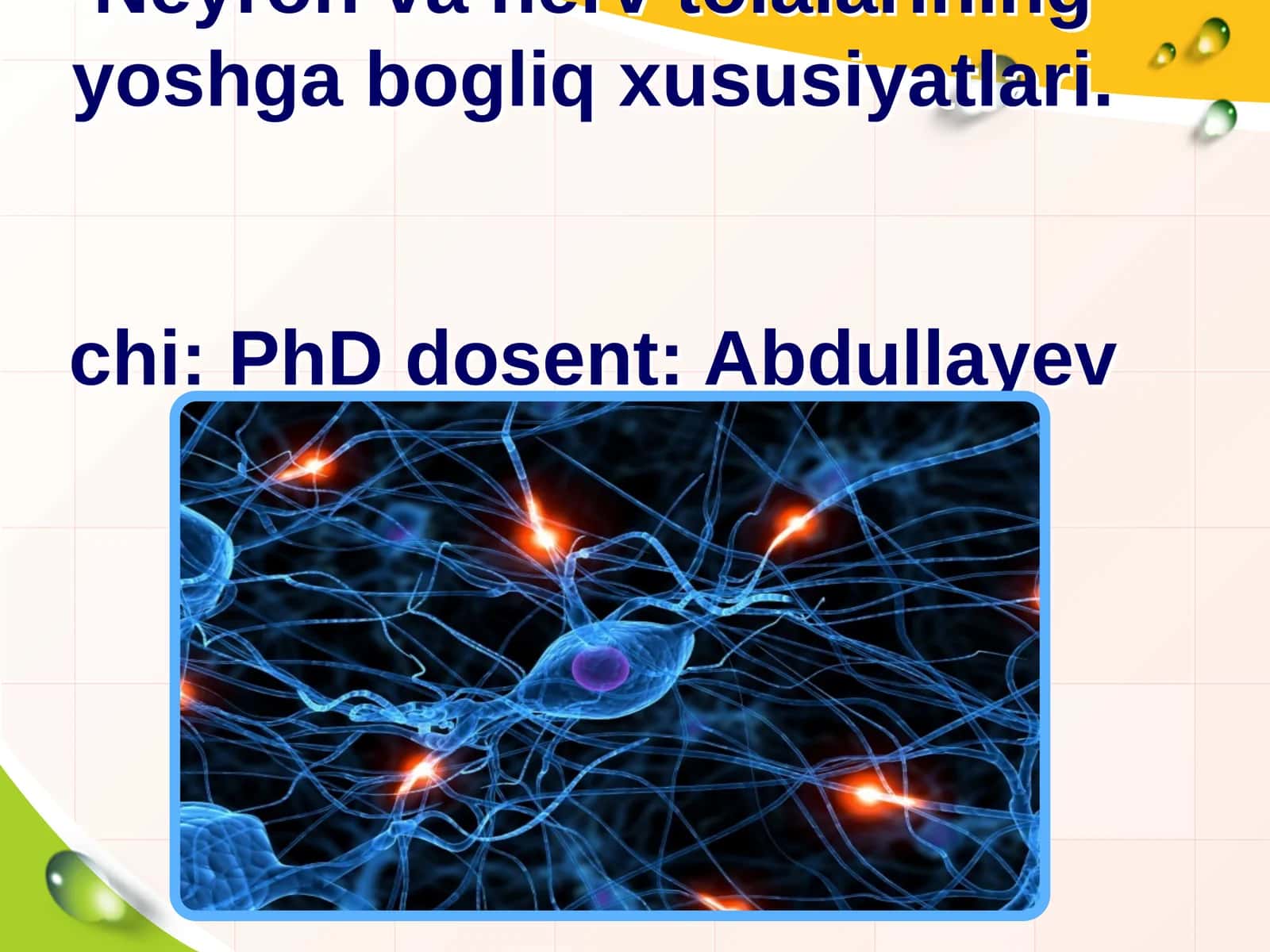 Neyron va nerv tolalarining yoshga bogliq xususiyatlari.chi