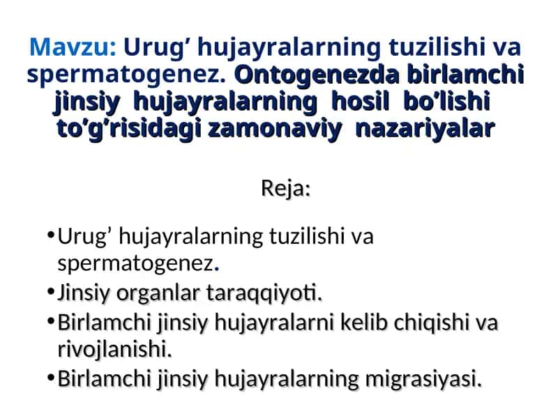 Urug’ hujayralarning tuzilishi va spermatogenez
