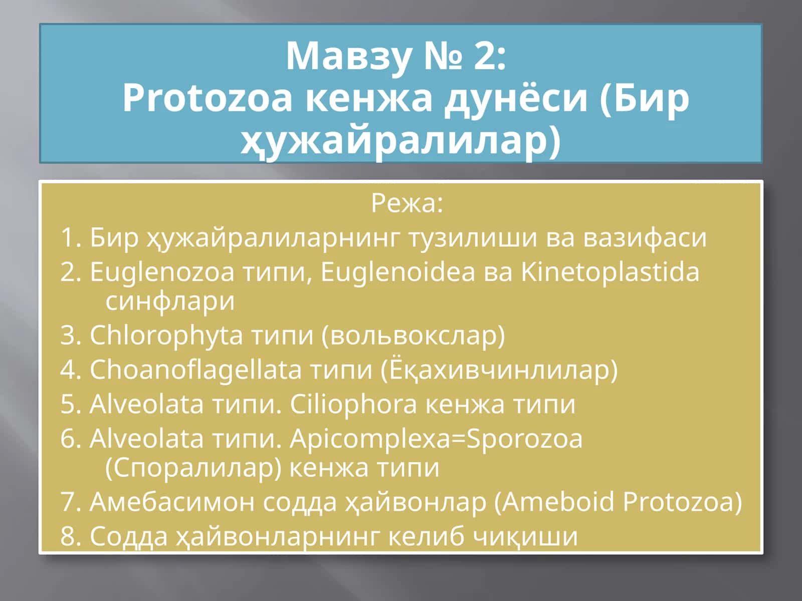 Protozoa кенжа дунёси (Бир ҳужайралилар)