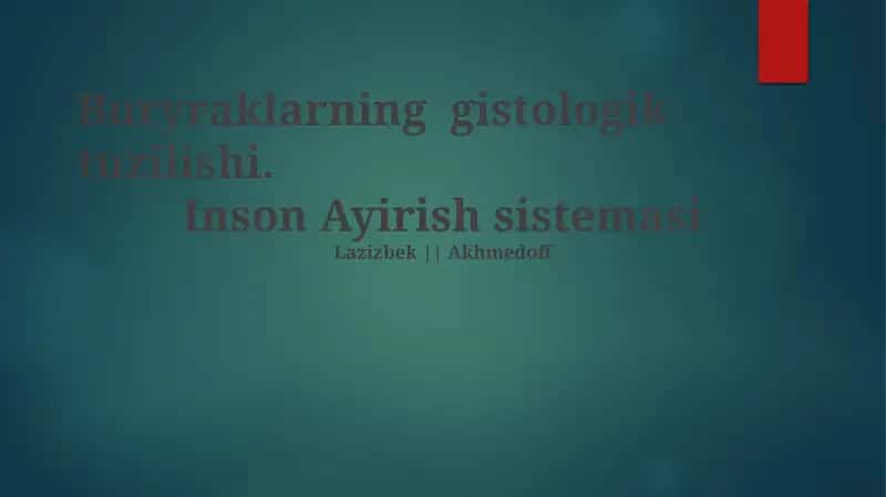 Buyraklarning gistologik tuzilishi