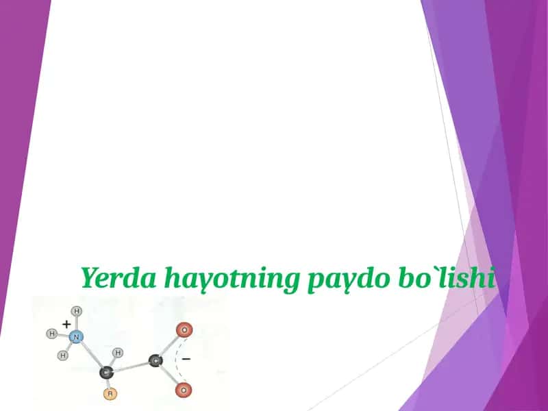 Yerda hayotning paydo bo`lishi