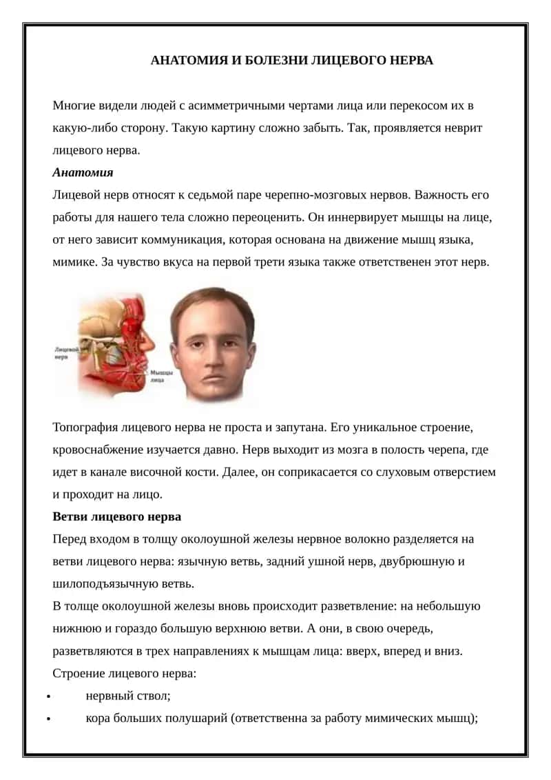 Анатомия и болезни лицевого нерва