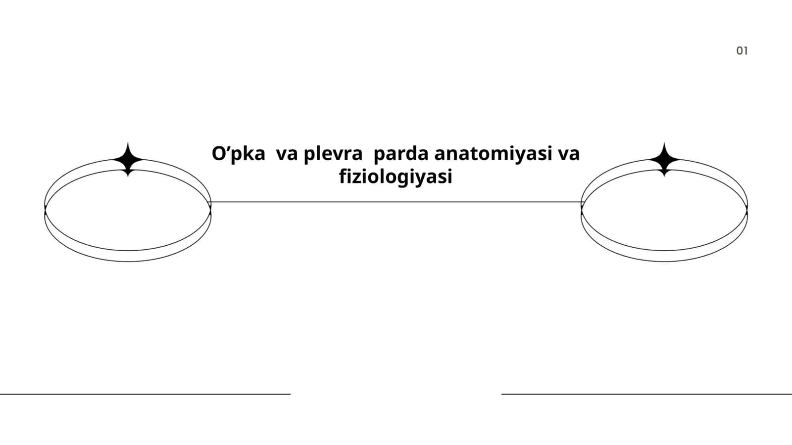 O’pka va plevra parda anatomiyasi va fiziologiyasi