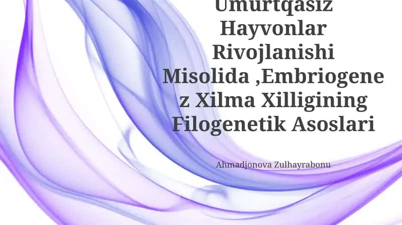Umurtqali Va Umurtqasiz Hayvonlar Rivojlanishi Misolida,Embriogenez Xilma Xilligining Filogenetik Asoslari
