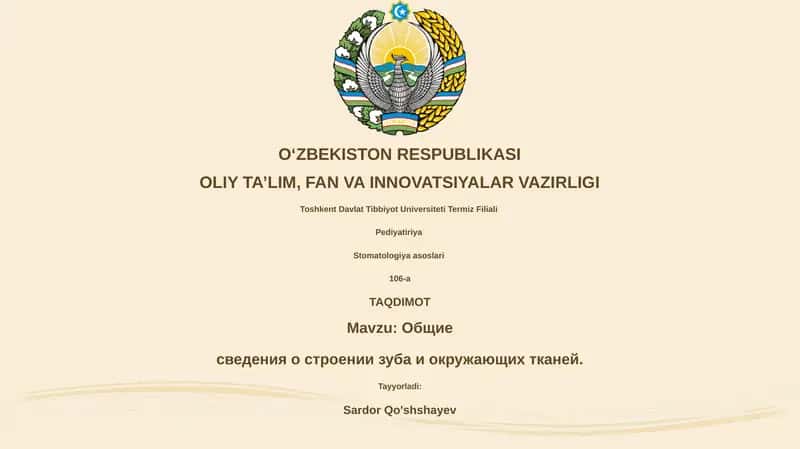 Общие сведения о строении зуба и окружающих тканей