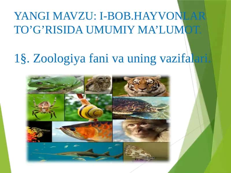 Zoologiya