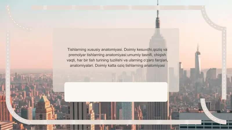 tishlarning xususiy anatomiyasi