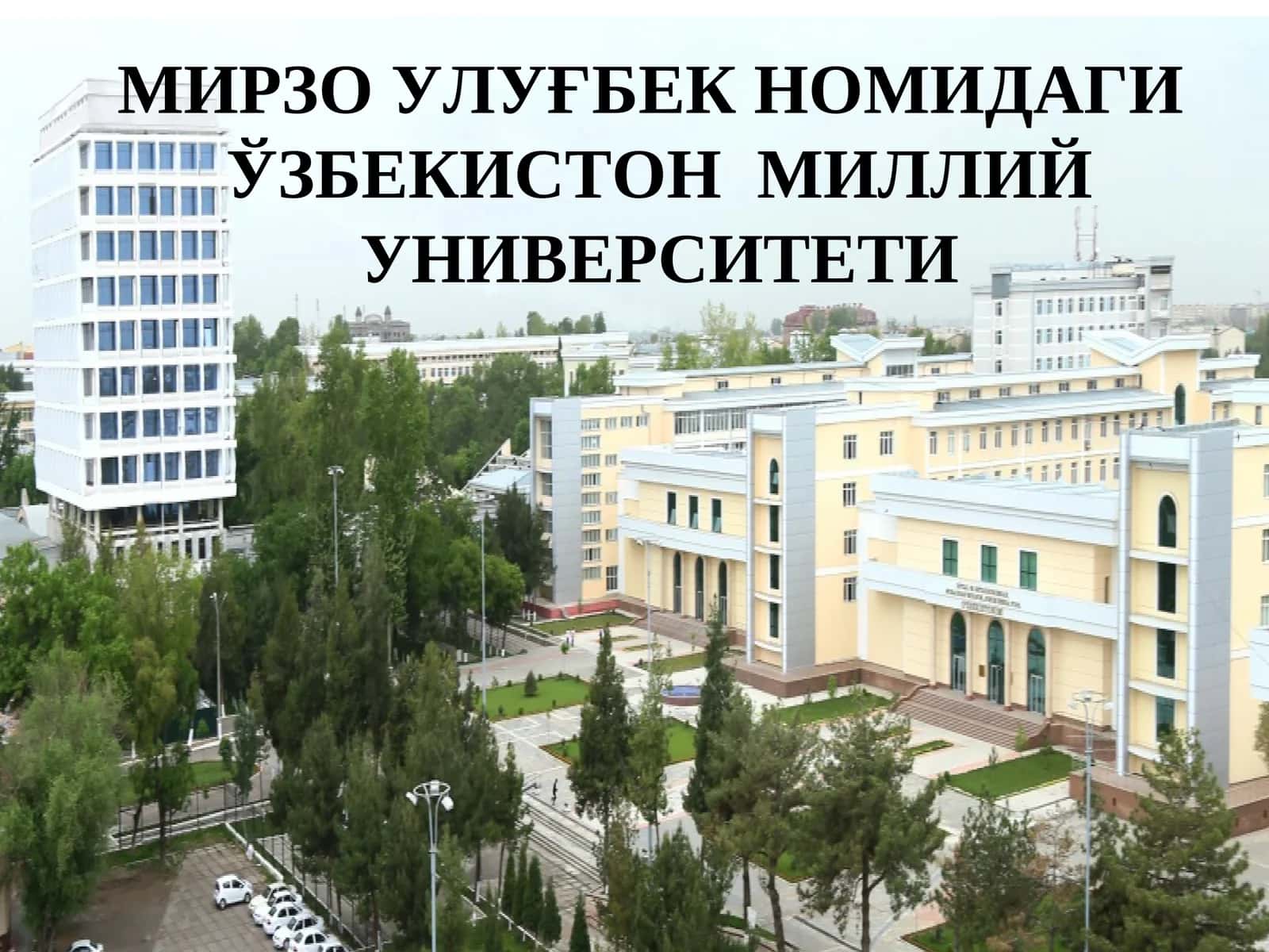 Борлиқ