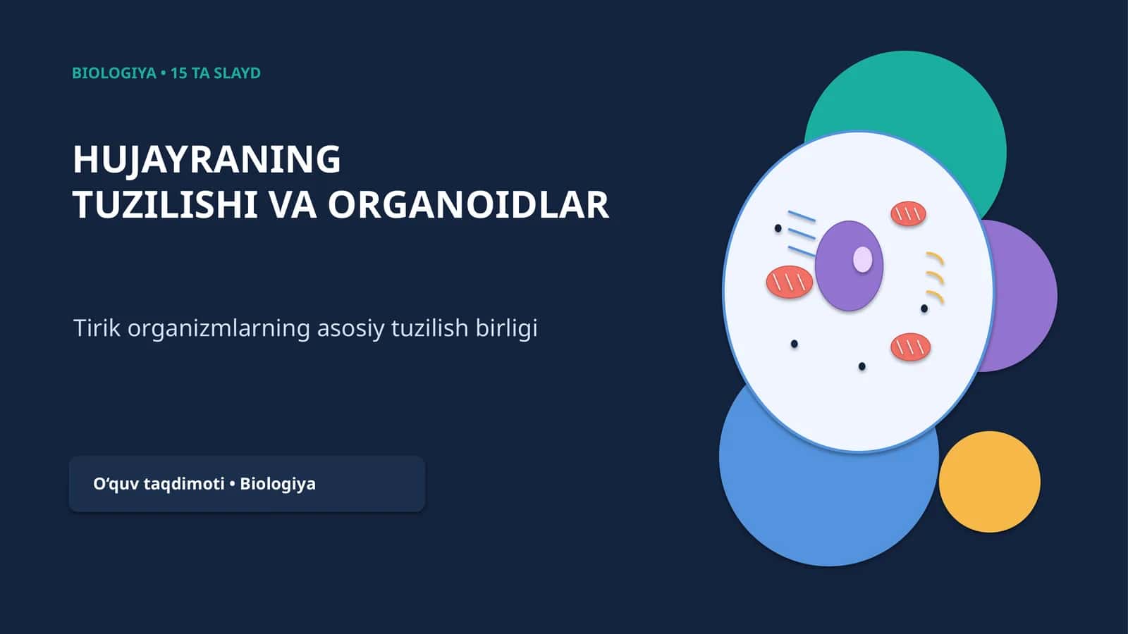 [HUJAYRANING TUZILISHI VA ORGANOIDLAR]
